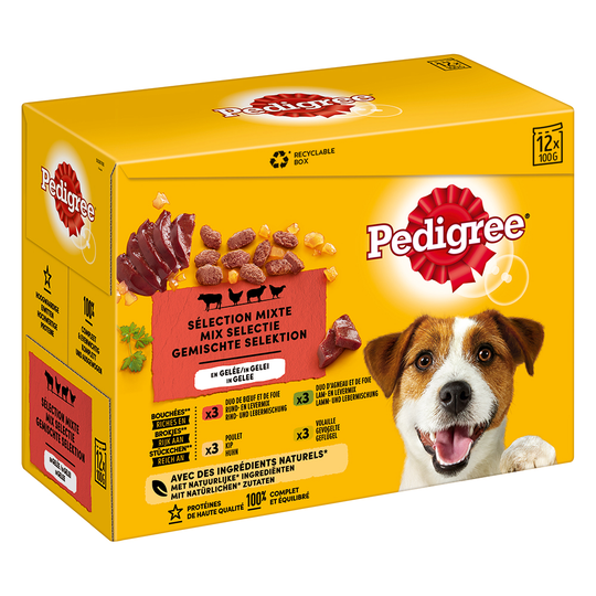 Pedigree Pouch in Jelly -monipakkaus - 12 x 100 g