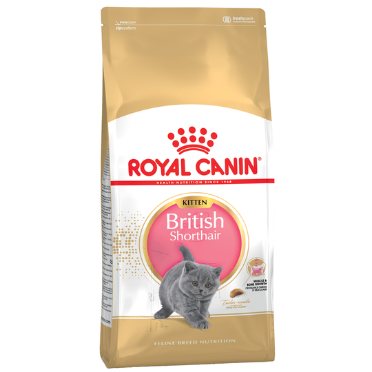 Royal Canin Breed -kissanruoka pieni pakkaus erikoishintaan! - 2 kg British Shorthair Kitten