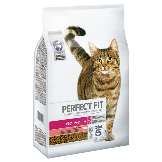 6 kg / 7 kg Perfect Fit -kissanruokaa erikoishintaan! - Active 1+: Rich in Beef (7 kg)