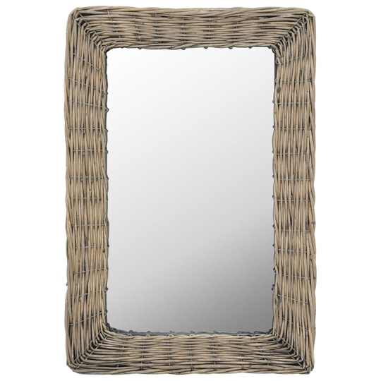 vidaXL Peili pajukehys 40x60 cm ruskea