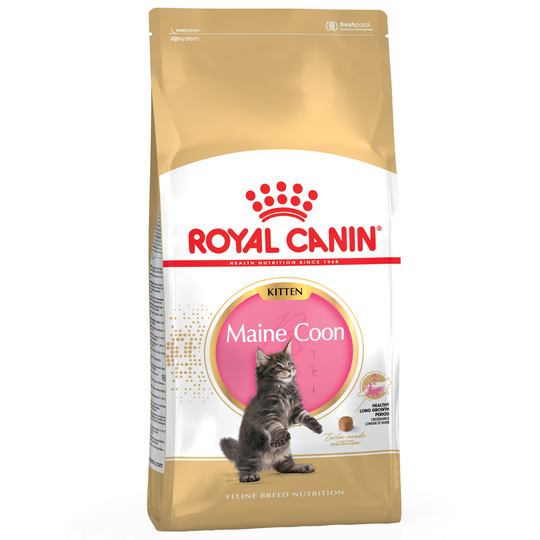 Royal Canin -kissanruokaa erikoishintaan! - Maine Coon Kitten (4 kg)